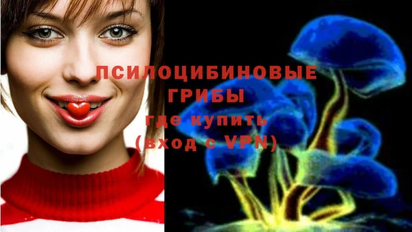 MESCALINE Пролетарск