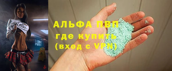 шишки Приозерск