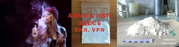 шишки Приозерск
