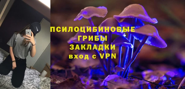 шишки Приозерск